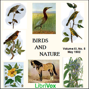 Birds and Nature, Vol. XI, No 5, May 1902 - Various Audiobooks - Free Audio Books | Knigi-Audio.com/en/