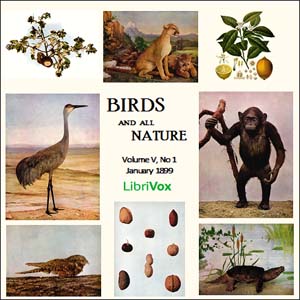 Birds and All Nature, Vol. V, No 1, January 1899 - Various Audiobooks - Free Audio Books | Knigi-Audio.com/en/