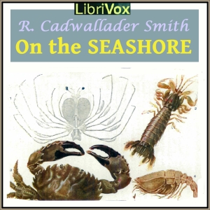 On The Seashore - R. Cadwallader SMITH Audiobooks - Free Audio Books | Knigi-Audio.com/en/