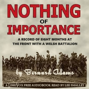 Nothing of Importance - John Bernard Pye ADAMS Audiobooks - Free Audio Books | Knigi-Audio.com/en/
