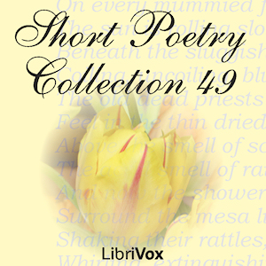 Short Poetry Collection 049 - Various Audiobooks - Free Audio Books | Knigi-Audio.com/en/