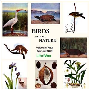 Birds and All Nature, Vol. V, No 2 February 1899 - Various Audiobooks - Free Audio Books | Knigi-Audio.com/en/