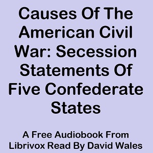 Causes Of The American Civil War: Secession Statements Of Five Confederate States (South Carolina, Texas, Virginia, Georgia, Mississippi) - Various Audiobooks - Free Audio Books | Knigi-Audio.com/en/