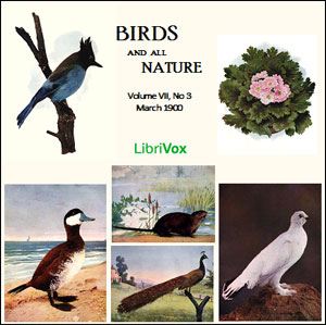 Birds and All Nature, Vol. VII, No 3, March 1900 - Various Audiobooks - Free Audio Books | Knigi-Audio.com/en/
