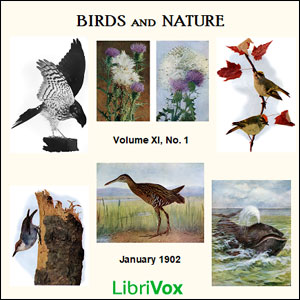 Birds and Nature, Vol. XI, No 1, January 1902 - Various Audiobooks - Free Audio Books | Knigi-Audio.com/en/