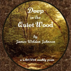 Deep In The Quiet Wood - James Weldon Johnson Audiobooks - Free Audio Books | Knigi-Audio.com/en/