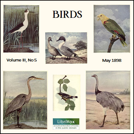 Birds, Vol. III, No 5, May 1898 - Various Audiobooks - Free Audio Books | Knigi-Audio.com/en/
