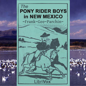 The Pony Rider Boys in New Mexico - Frank Gee Patchin Audiobooks - Free Audio Books | Knigi-Audio.com/en/