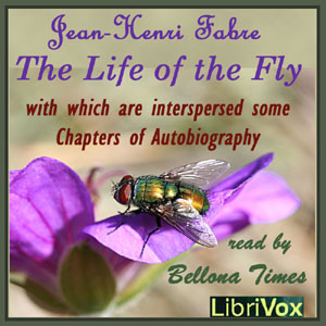 The Life of the Fly, With Which are Interspersed Some Chapters of Autobiography - Jean-Henri FABRE Audiobooks - Free Audio Books | Knigi-Audio.com/en/