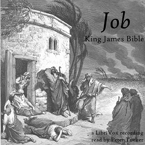 Bible (KJV) 18: Job (version 2) - King James Version Audiobooks - Free Audio Books | Knigi-Audio.com/en/