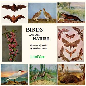 Birds and All Nature, Vol. IV, No 5, November 1898 - Various Audiobooks - Free Audio Books | Knigi-Audio.com/en/