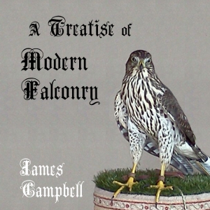 A Treatise of Modern Falconry - James CAMPBELL Audiobooks - Free Audio Books | Knigi-Audio.com/en/