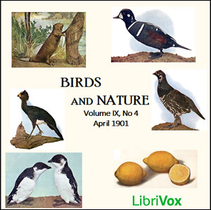 Birds and Nature, Vol. IX, No 4, April 1901 - Various Audiobooks - Free Audio Books | Knigi-Audio.com/en/
