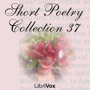 Short Poetry Collection 037 - Various Audiobooks - Free Audio Books | Knigi-Audio.com/en/