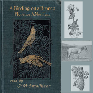 A-Birding on a Bronco - Florence A. MERRIAM Audiobooks - Free Audio Books | Knigi-Audio.com/en/