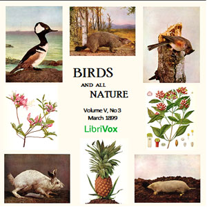 Birds and All Nature, Vol. V, No 3, March 1899 - Various Audiobooks - Free Audio Books | Knigi-Audio.com/en/