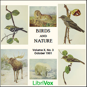 Birds and Nature, Vol. X, No 3, October 1901 - Various Audiobooks - Free Audio Books | Knigi-Audio.com/en/