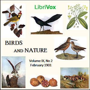 Birds and Nature, Vol. IX, No 2, February 1901 - Various Audiobooks - Free Audio Books | Knigi-Audio.com/en/