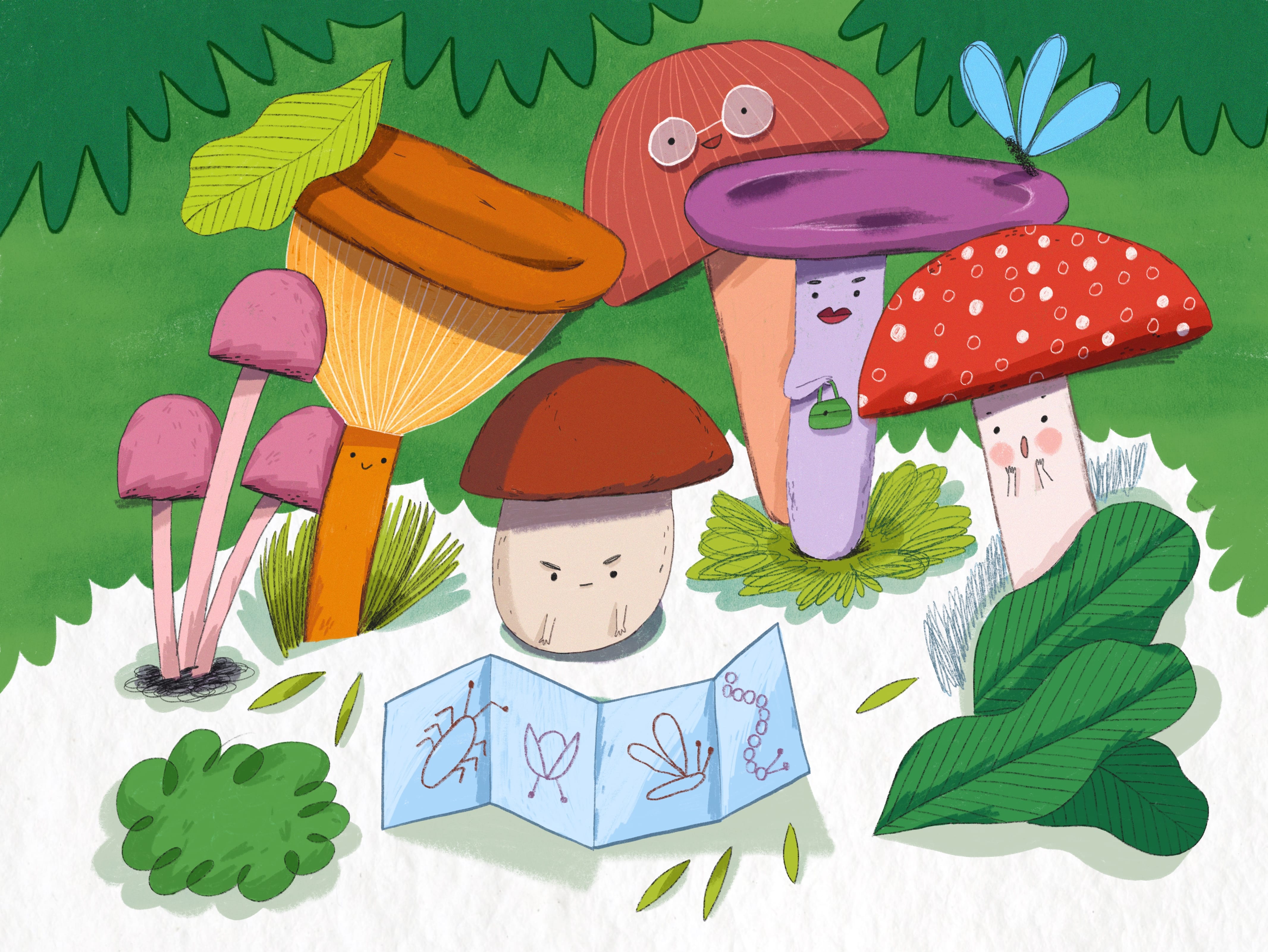 Війна грибів з жуками - Соломія Мельник - Слухати Книги Українською Онлайн Безкоштовно 📘 Knigi-Audio.com/uk/