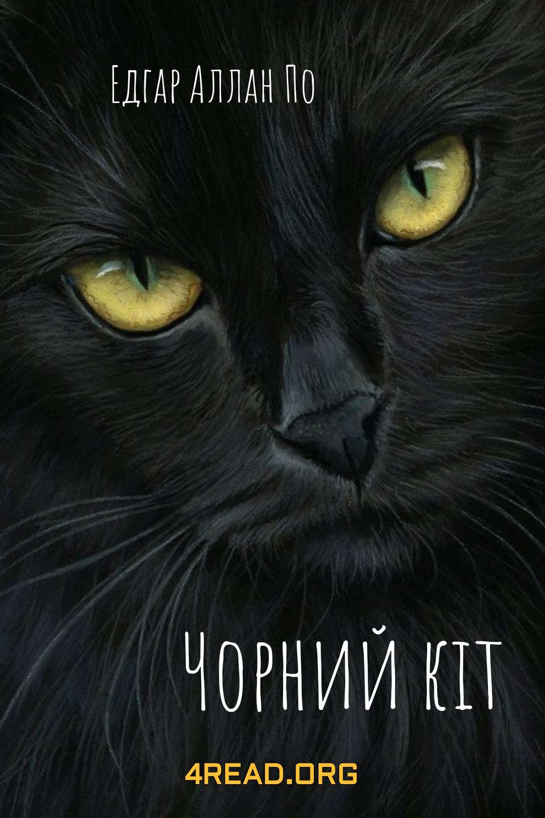 Чорний кіт - Едгар Аллан По - Слухати Книги Українською Онлайн Безкоштовно 📘 Knigi-Audio.com/uk/