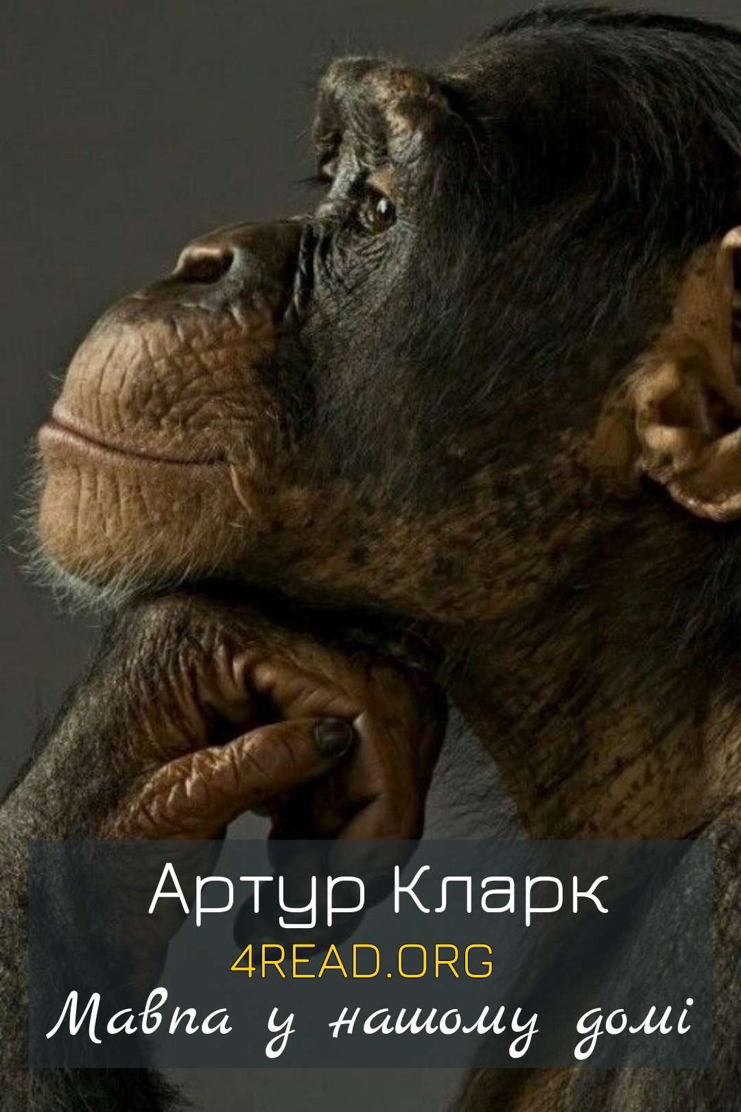 Мавпа у нашому домі - Артур Кларк - Слухати Книги Українською Онлайн Безкоштовно 📘 Knigi-Audio.com/uk/