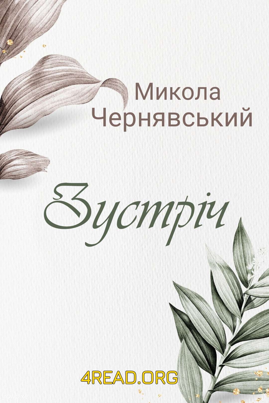 Зустріч - Микола Чернявський - Слухати Книги Українською Онлайн Безкоштовно 📘 Knigi-Audio.com/uk/