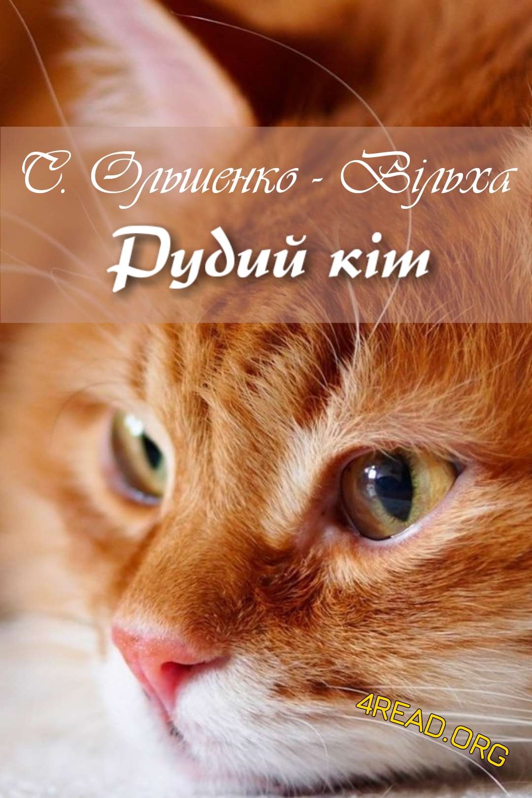Рудий кіт - Святослав Ольшенко - Вільха - Слухати Книги Українською Онлайн Безкоштовно 📘 Knigi-Audio.com/uk/