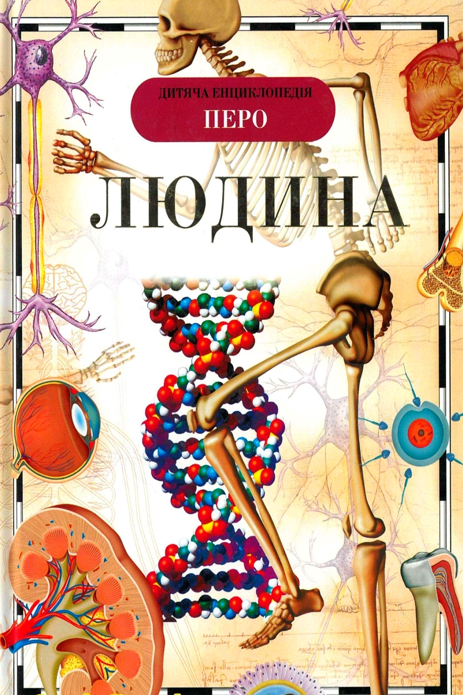 Людина. Дитяча енциклопедія - М. Лук'янов - Слухати Книги Українською Онлайн Безкоштовно 📘 Knigi-Audio.com/uk/