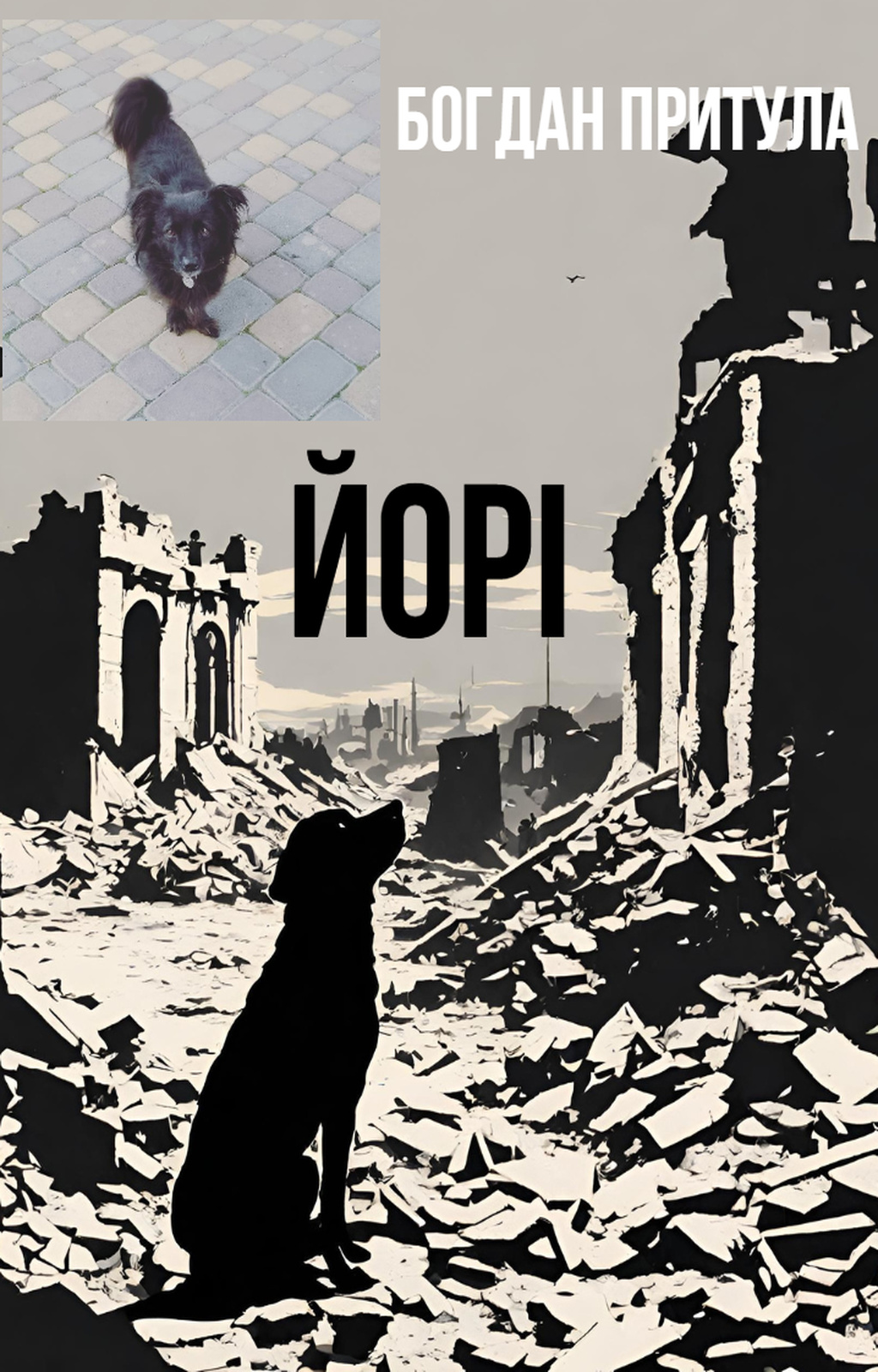 Йорі - Богдан Притула - Слухати Книги Українською Онлайн Безкоштовно 📘 Knigi-Audio.com/uk/