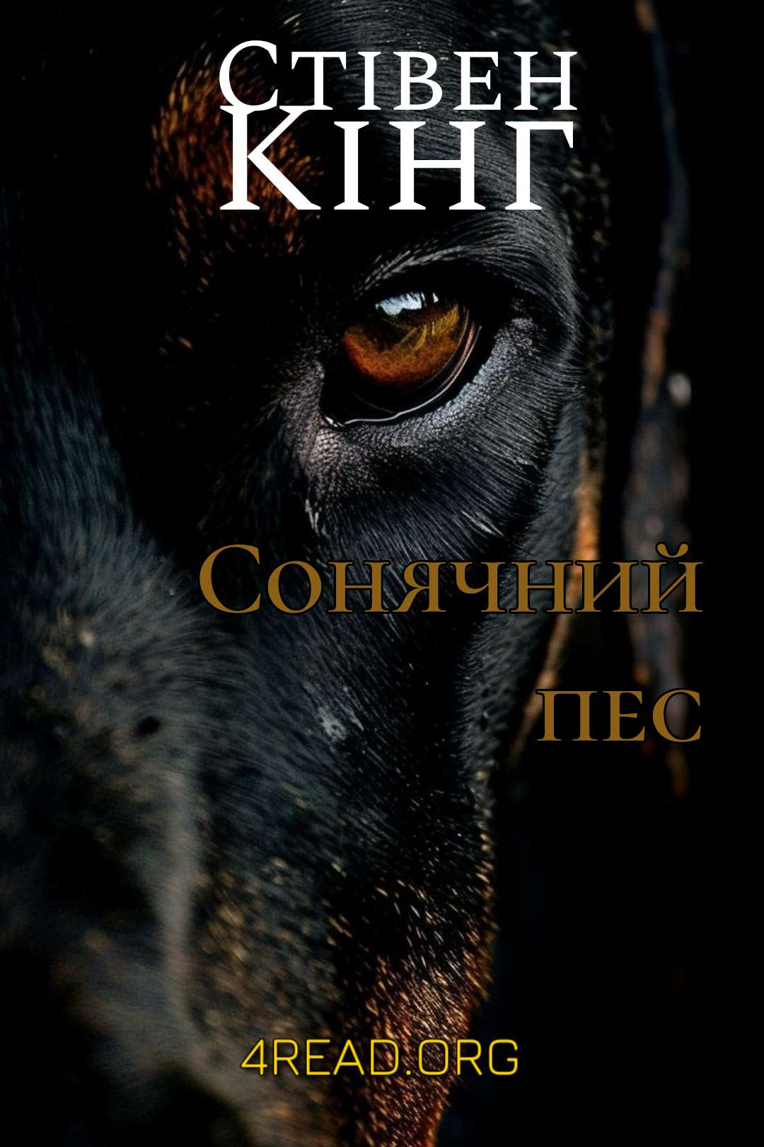 Сонячний пес - Стівен Кінг - Слухати Книги Українською Онлайн Безкоштовно 📘 Knigi-Audio.com/uk/