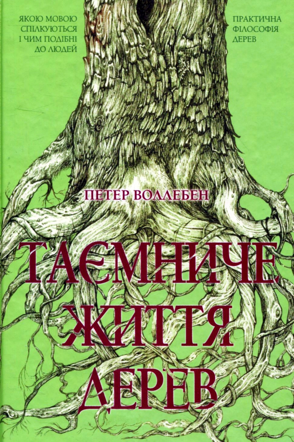 Таємниче життя дерев - Петер Воллебен - Слухати Книги Українською Онлайн Безкоштовно 📘 Knigi-Audio.com/uk/
