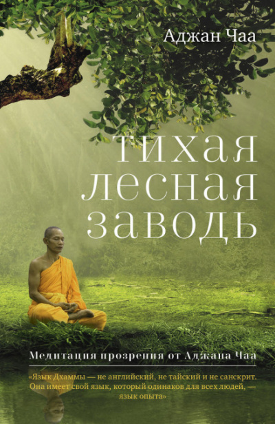 Тихая лесная заводь. Медитация прозрения от Аджана Чаа - Аджан Чаа - Аудиокниги - слушать онлайн бесплатно без регистрации | Knigi-Audio.com