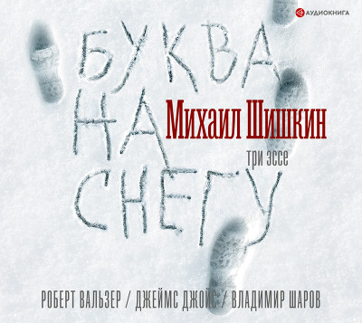 Буква на снегу - Шишкин Михаил