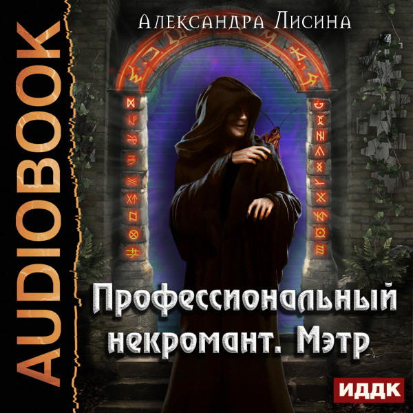 Профессиональный некромант. Книга 1. Мэтр - Лисина Александра - Аудиокниги - слушать онлайн бесплатно без регистрации | Knigi-Audio.com