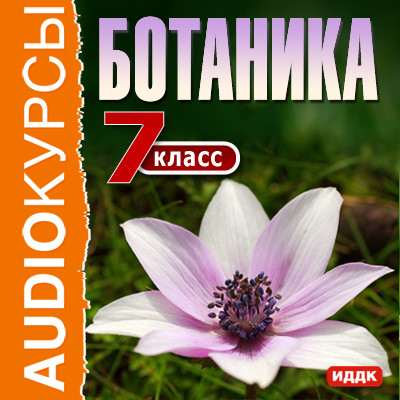 7 класс. Ботаника - Учебная литература - Аудиокниги - слушать онлайн бесплатно без регистрации | Knigi-Audio.com