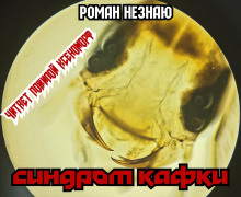 Синдром Кафки - Роман Незнаю