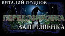 Запрещенка - Виталий Грудцов - Аудиокниги - слушать онлайн бесплатно без регистрации | Knigi-Audio.com