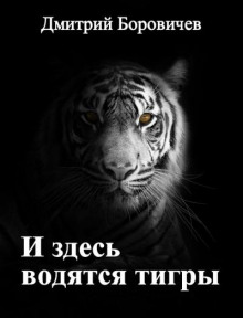 И здесь водятся тигры - Дмитрий Боровичёв - Аудиокниги - слушать онлайн бесплатно без регистрации | Knigi-Audio.com