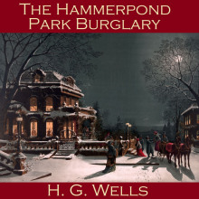 Ограбление в Хэммерпонд-парке - Герберт Уэллс - Аудиокниги - слушать онлайн бесплатно без регистрации | Knigi-Audio.com