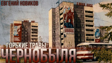 Горькие Травы Чернобыля - Автор неизвестен
