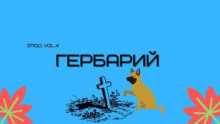Гербарий - Александр Денисенко - Аудиокниги - слушать онлайн бесплатно без регистрации | Knigi-Audio.com