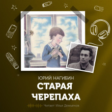 Старая черепаха - Юрий Нагибин - Аудиокниги - слушать онлайн бесплатно без регистрации | Knigi-Audio.com