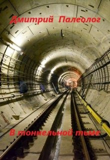 В тоннельной тьме - Дмитрий Палеолог - Аудиокниги - слушать онлайн бесплатно без регистрации | Knigi-Audio.com