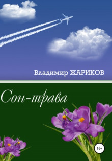 Сон-трава - Владимир Жариков - Аудиокниги - слушать онлайн бесплатно без регистрации | Knigi-Audio.com