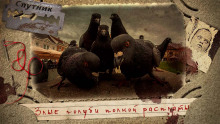 Злые голуби полной расплаты - Мирон Высота - Аудиокниги - слушать онлайн бесплатно без регистрации | Knigi-Audio.com