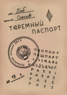 Тюремный паспорт. Часть 3 - Глеб Соколов - Аудиокниги - слушать онлайн бесплатно без регистрации | Knigi-Audio.com