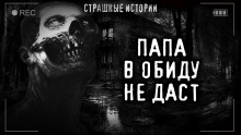 В обиду не даст - Роман Башаев - Аудиокниги - слушать онлайн бесплатно без регистрации | Knigi-Audio.com