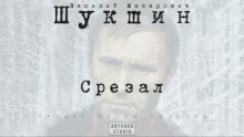 Срезал - Василий Шукшин - Аудиокниги - слушать онлайн бесплатно без регистрации | Knigi-Audio.com