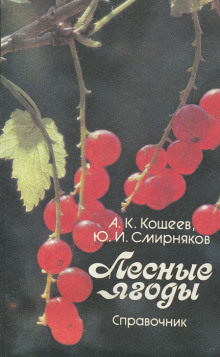 Лесные ягоды - Аркадий Кощеев - Аудиокниги - слушать онлайн бесплатно без регистрации | Knigi-Audio.com