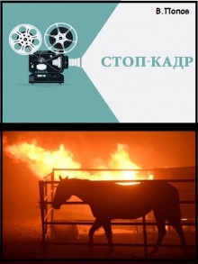 Стоп-кадр - Валерий Попов - Аудиокниги - слушать онлайн бесплатно без регистрации | Knigi-Audio.com